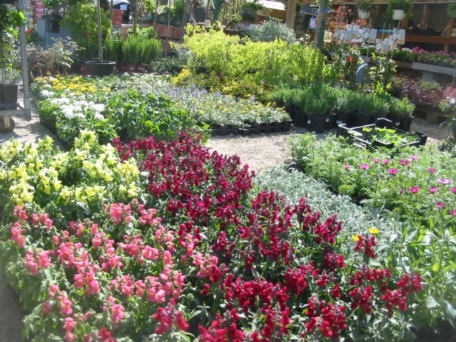 Jardinerie - La Serre Outil