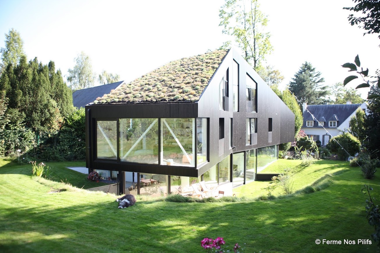 Toiture végétalisée - avec la Ferme nos Pilifs