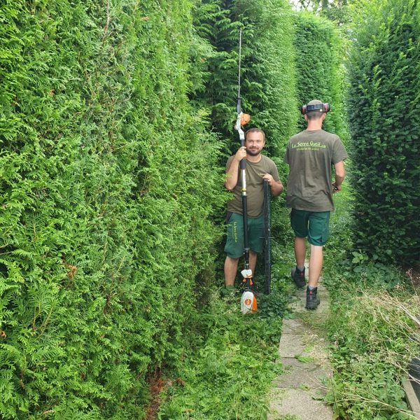 Adrien - Taille des haies - La Serre Outil