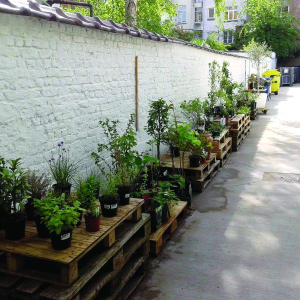 Citeco fait de la vente de plantes horticoles