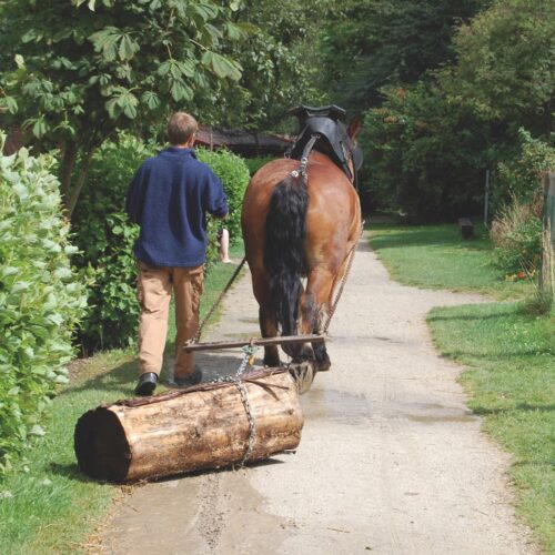 Ferme et cheval - Ferme nos Pilifs