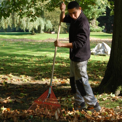 Jardins et jardinage - Ferme nos Pilifs