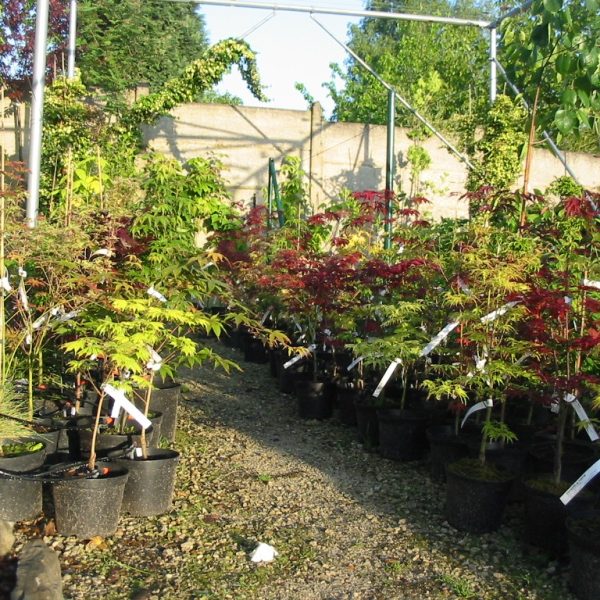 Jardinerie - La Serre Outil