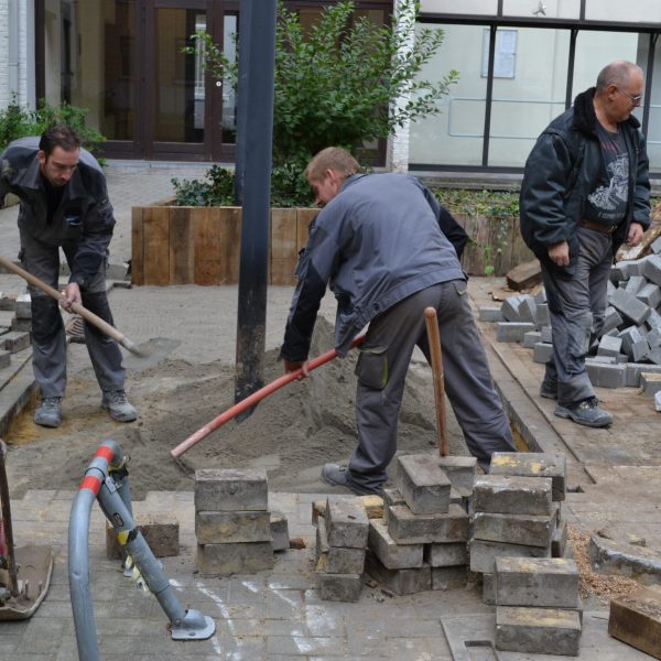 Terrasse - Les Jeunes Jardiniers