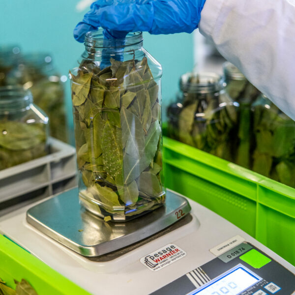 Travie conditionnement alimentaire