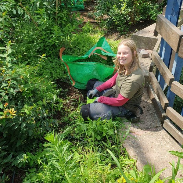 Entretien jardin - La Serre Outil
