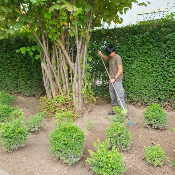 Jardinage - La Serre Outil