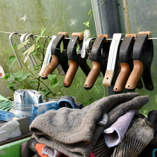 APRE Services prend en charge votre potager et jardin