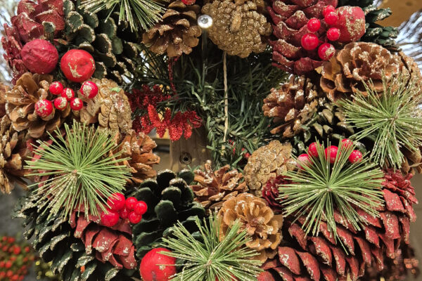 commande sapin noël bio local