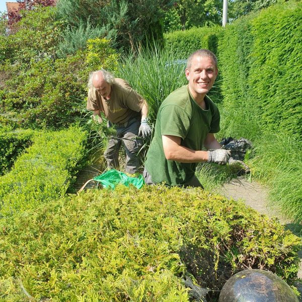 Taille des haies - La Serre Outil